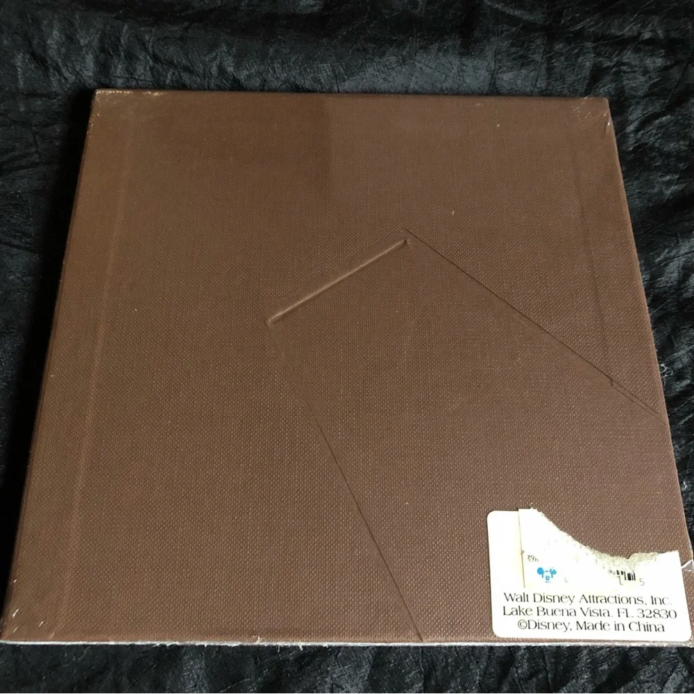 Pair of Disney Animal Kingdom Square Picture Frame